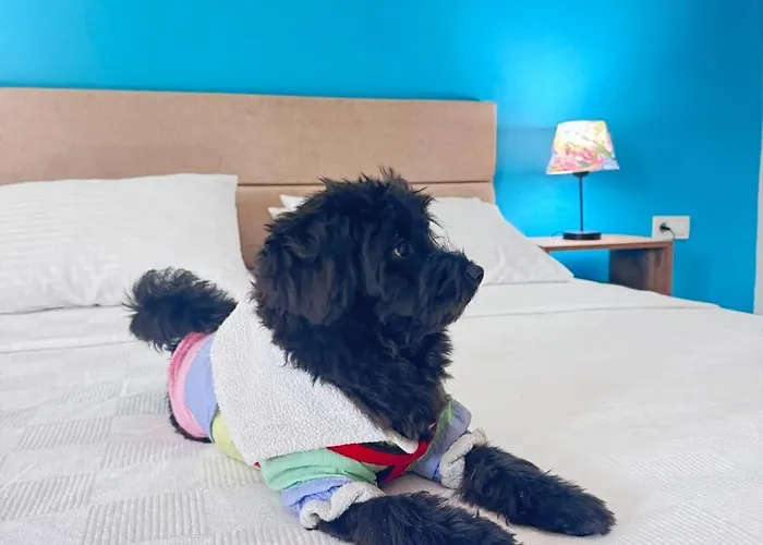 The New House Cesme *