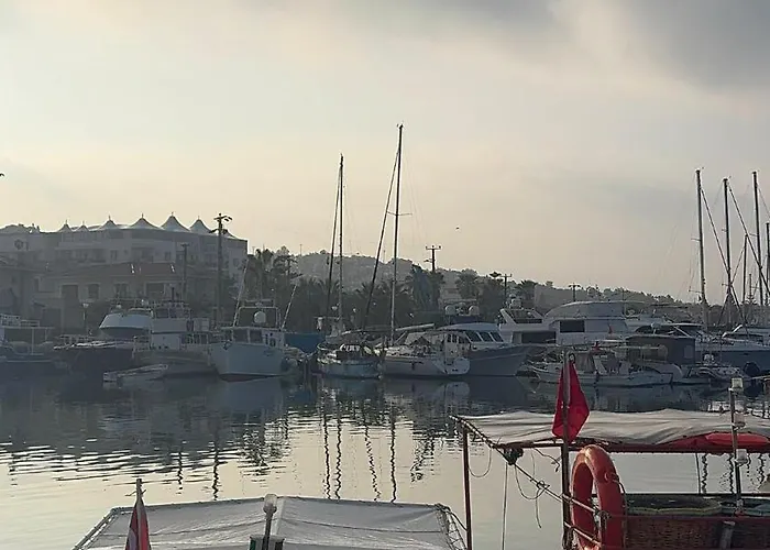 The New House Cesme Homestay Dalyankoy (Aegean)